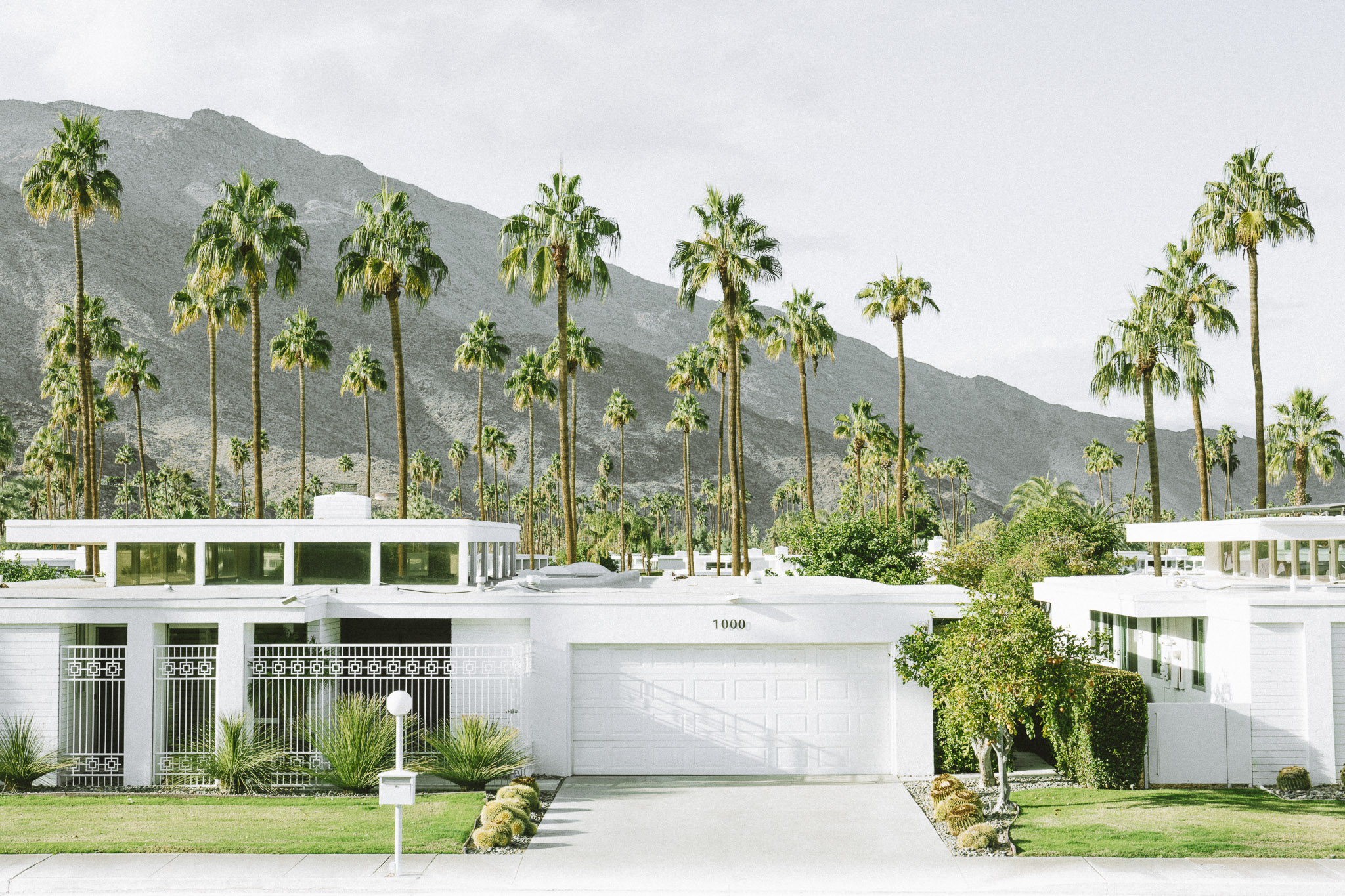 palm springs print