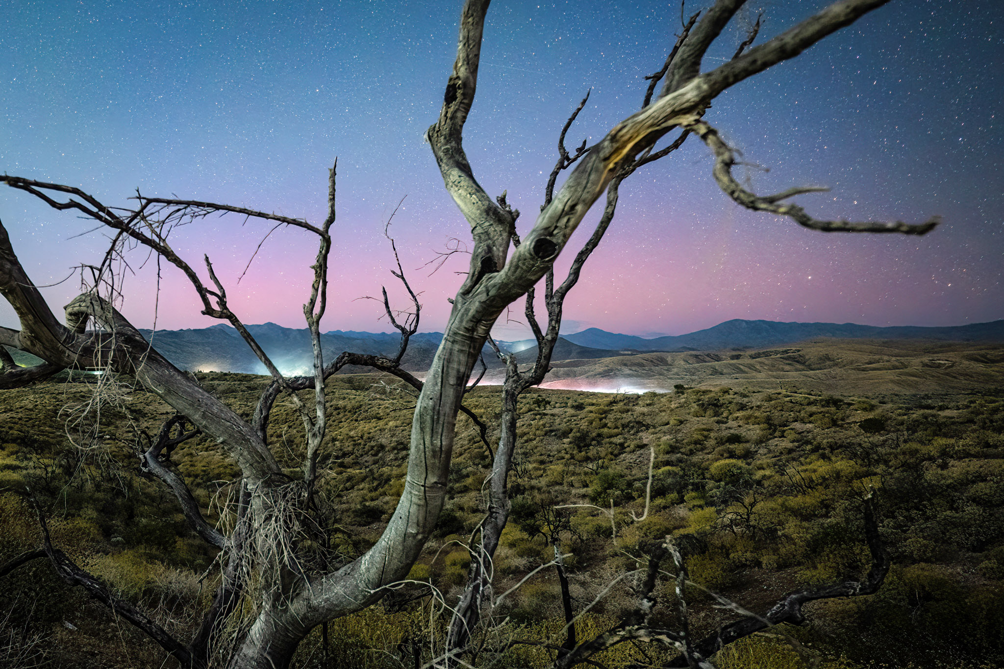 Northern Lights Arizona: Captured By Local Nature Photographer