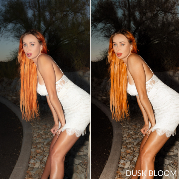 blue hour lr preset