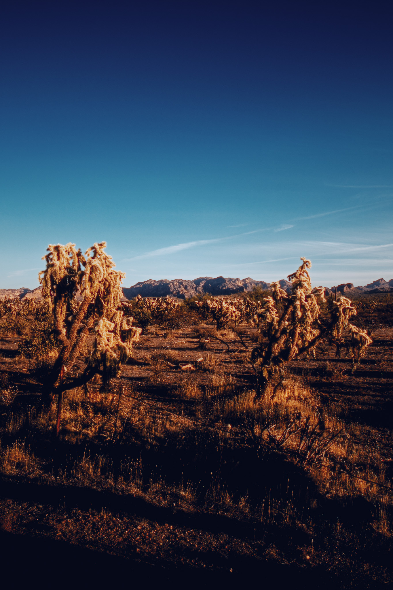 photo editing workflow