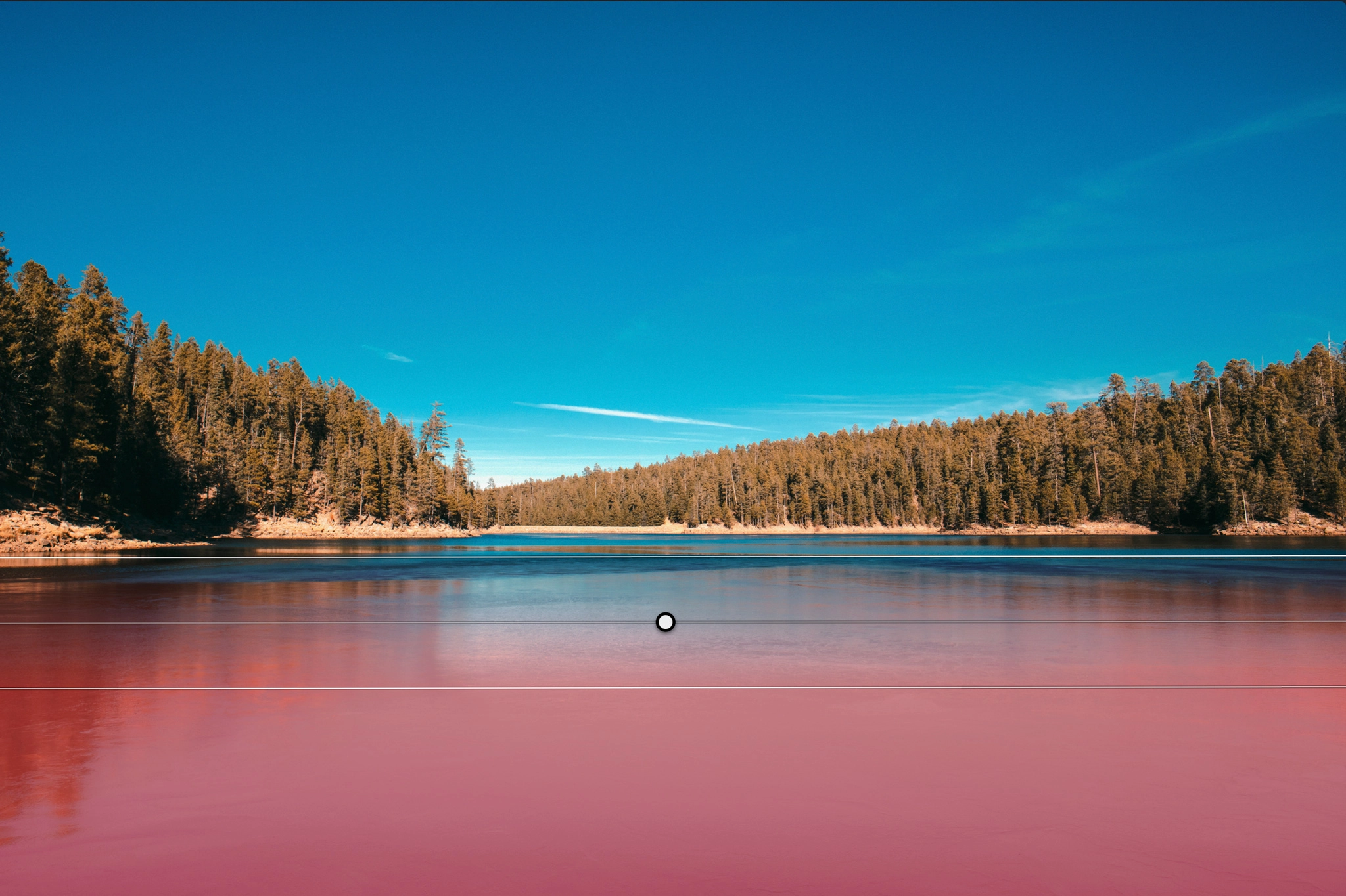 luminar neo promotional code