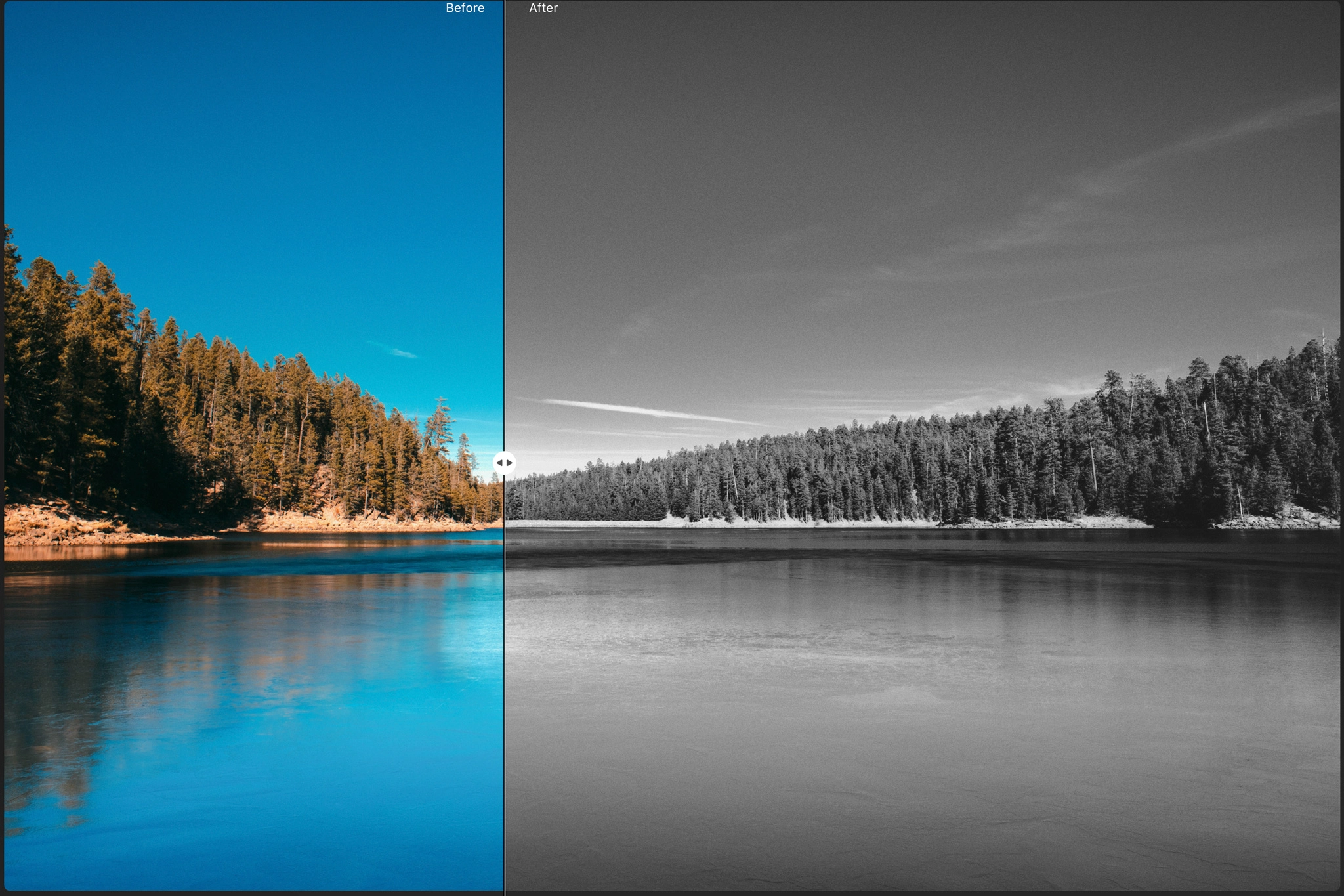 luminar neo subscription