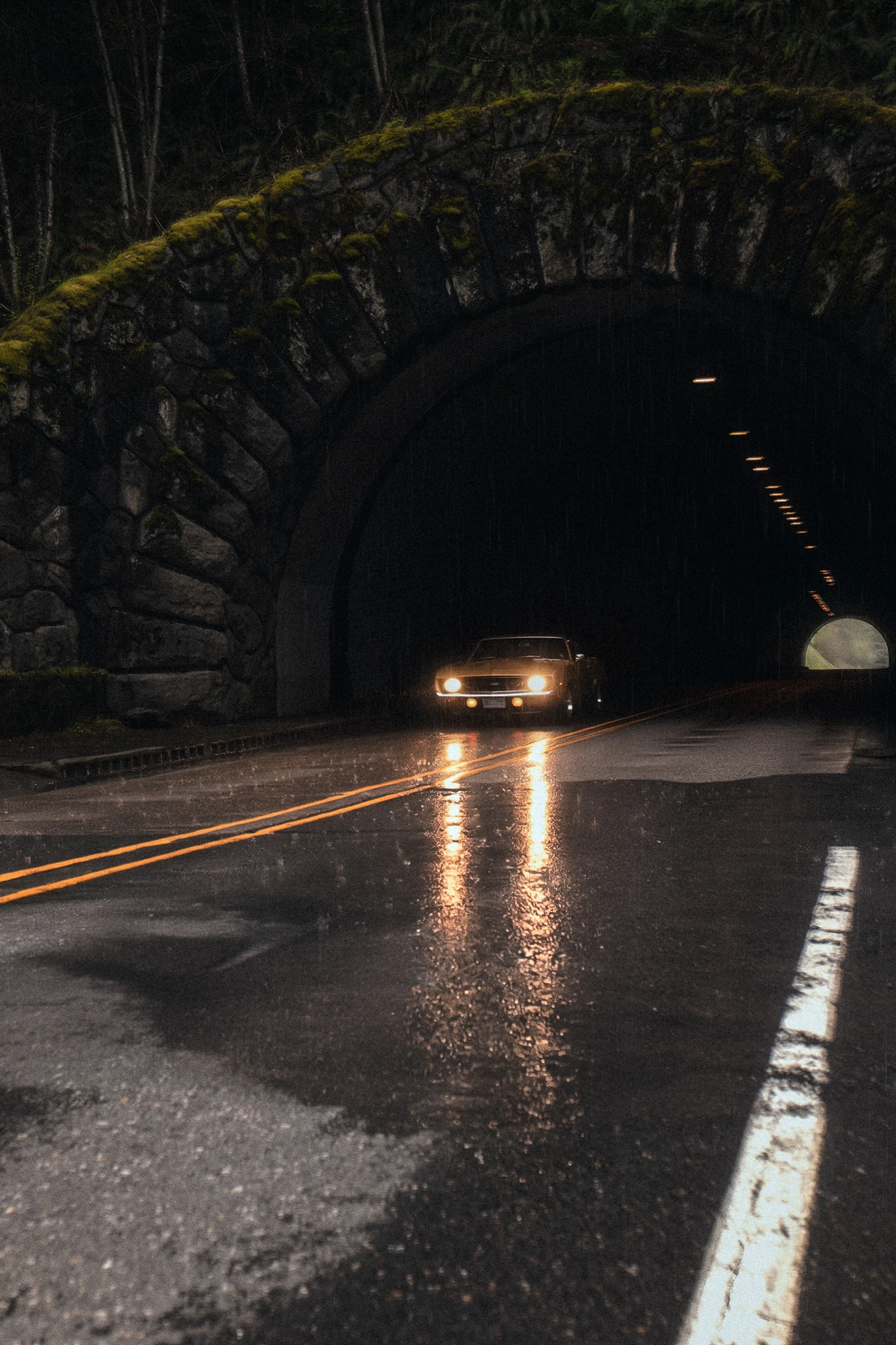 lightroom generate video
