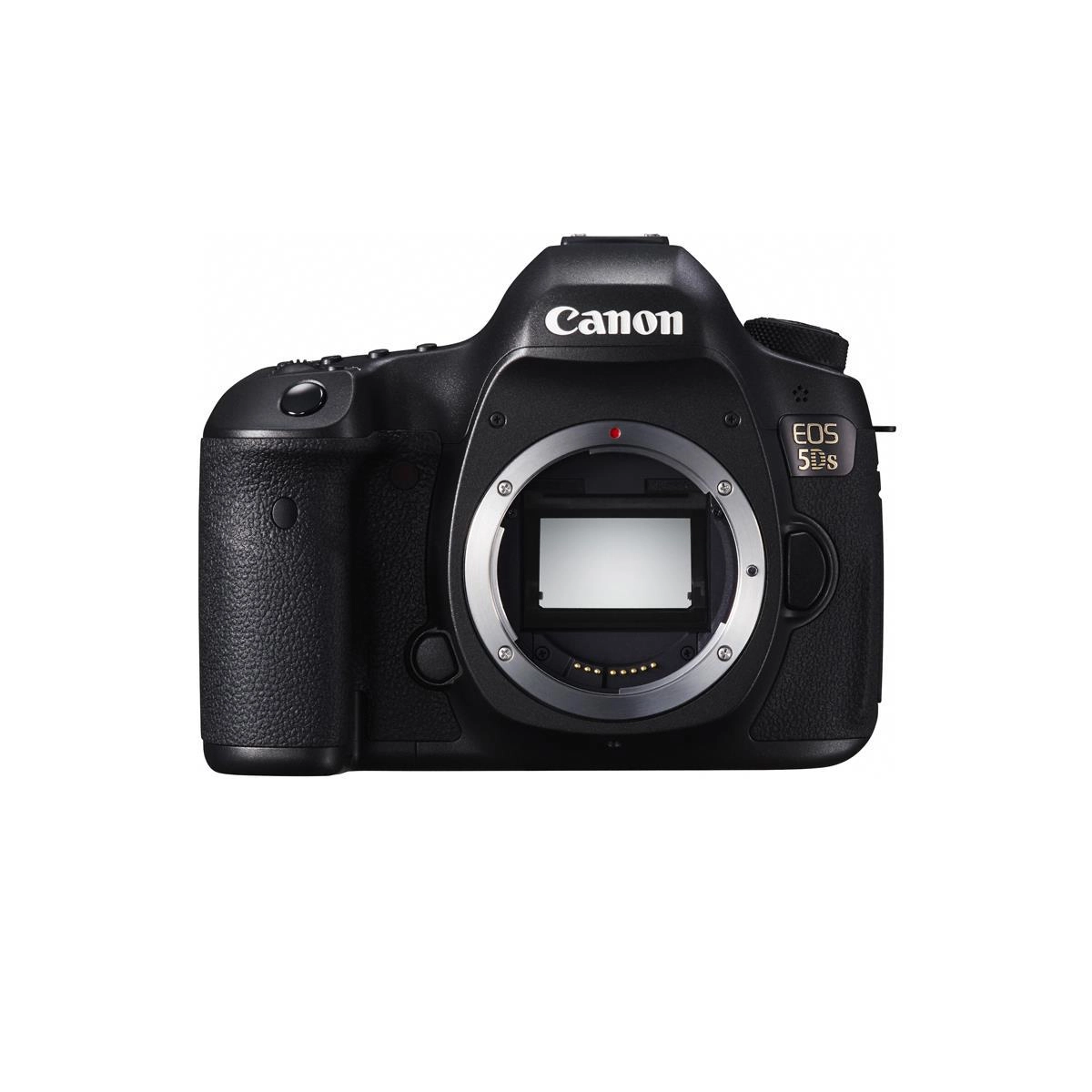 portrait photography gear