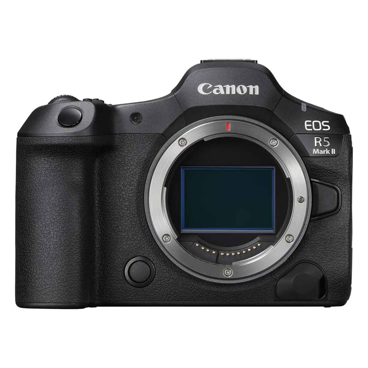 portrait photography gear