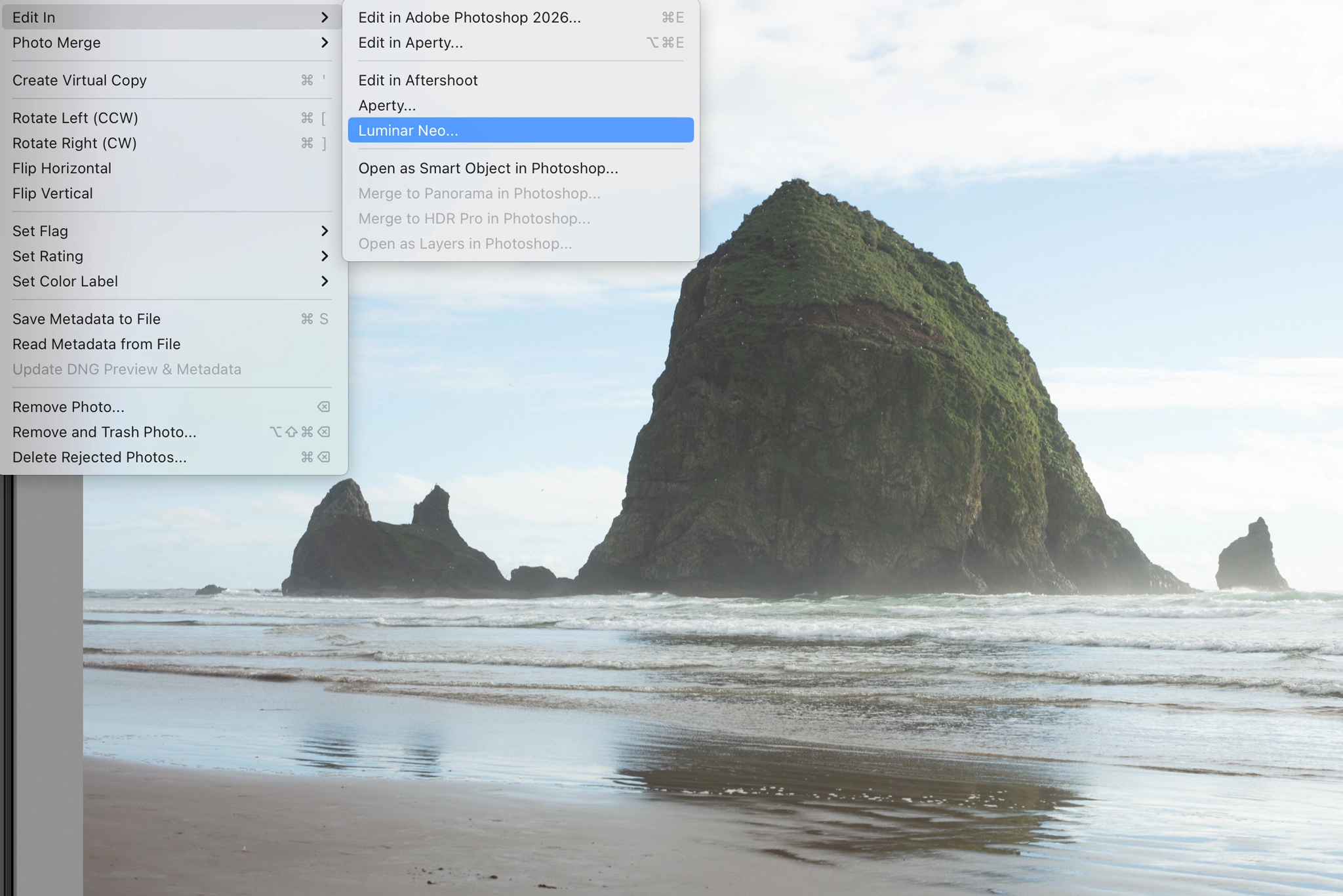 luminar neo plugin